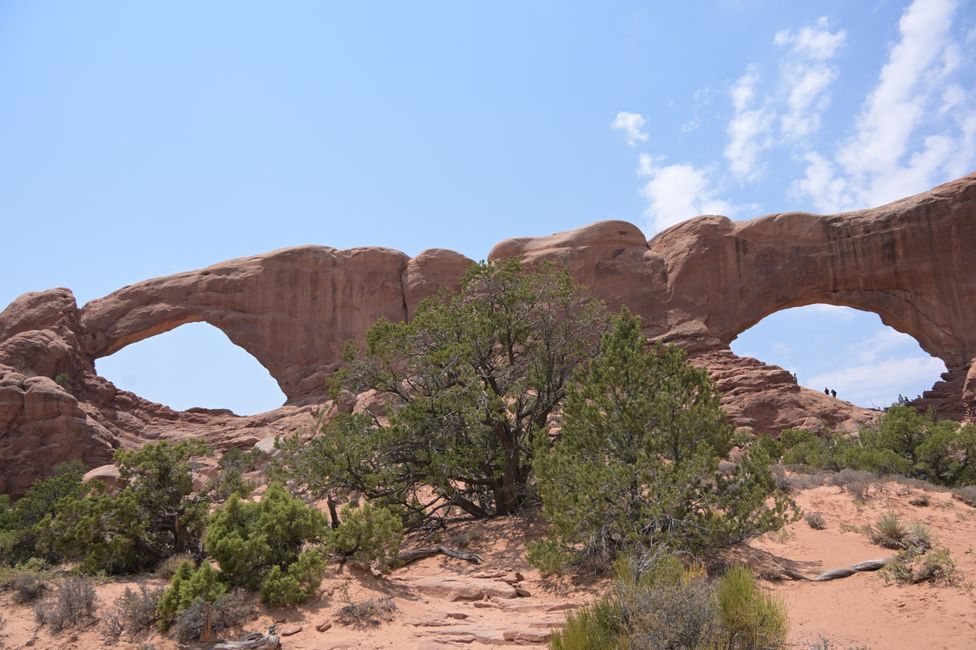 Windows Section - South und North Window