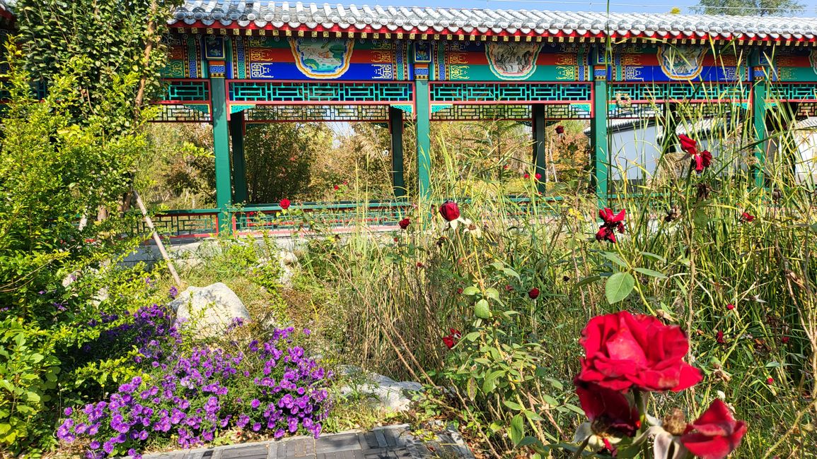 Exposición de Jardín Cangzhou