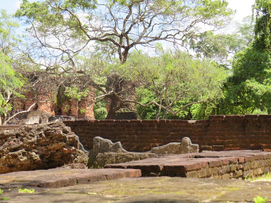 Polonnawaruna