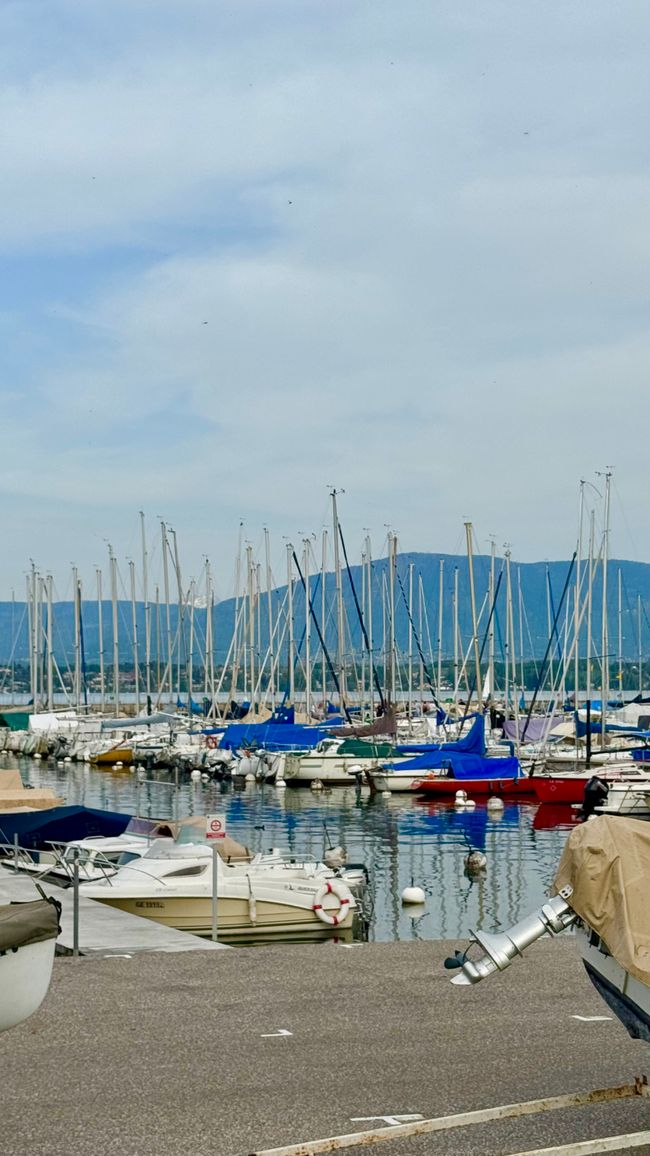 Yachthafen in Versoix