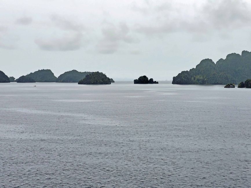 Misool, Nuova Guinea occidentale, Indonesia, escursione in Zodiac