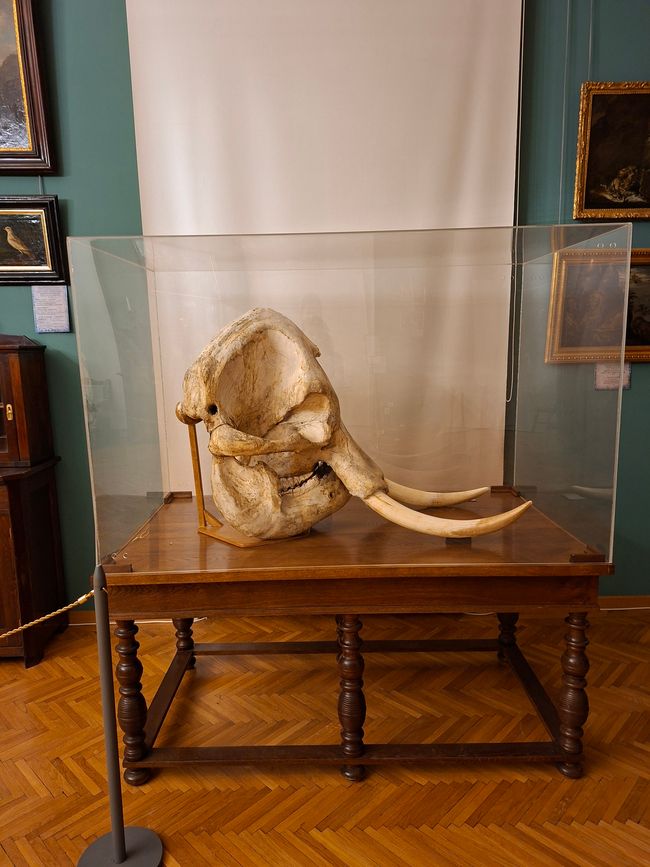 Musée Brukenthal