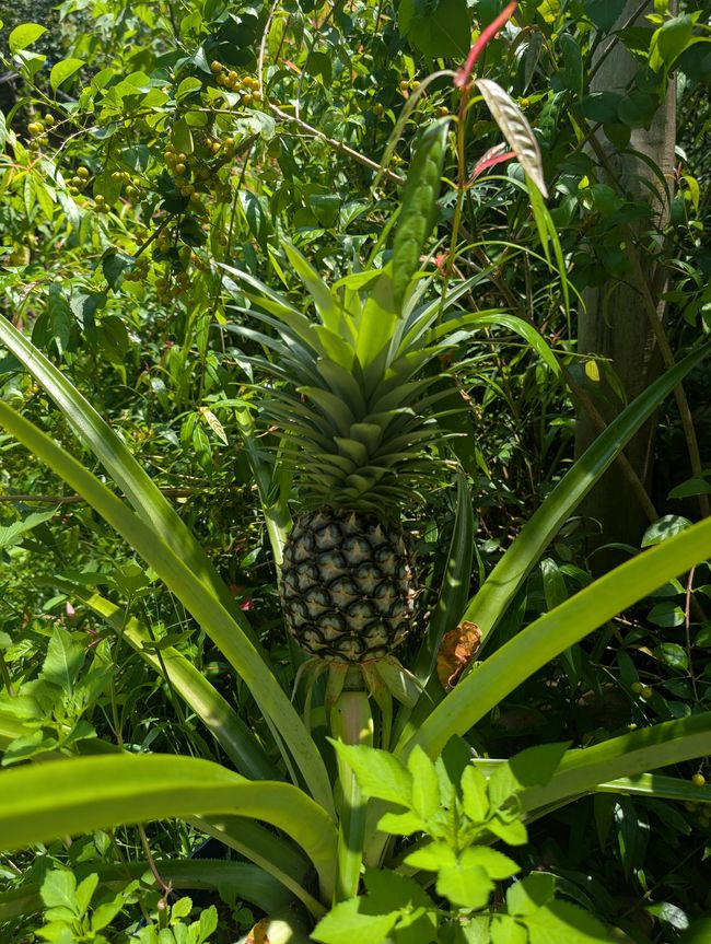 Eine ausgestreckte Hand am Fensterbrett