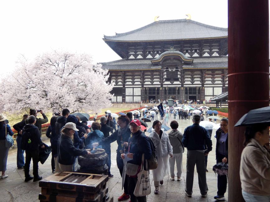 Kōbe and Nara, April 1, 2026