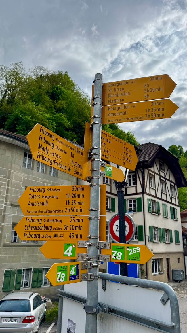 Von Freiburg nach Interlaken - Städtetour, Wings for Life & Wanderglück