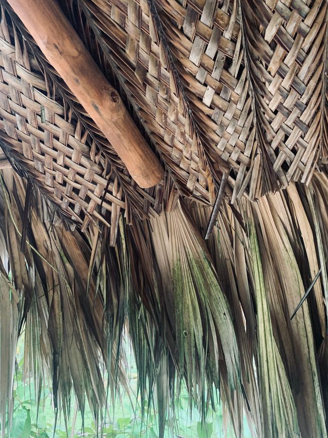 We rented the hut…