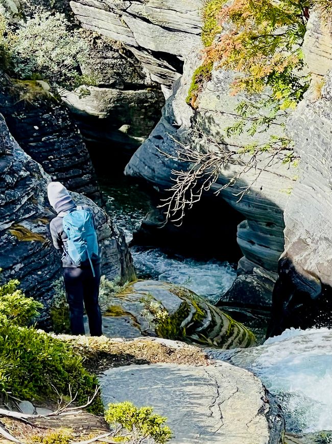 Promenade avec une brise légère - Impressions de Høvringen