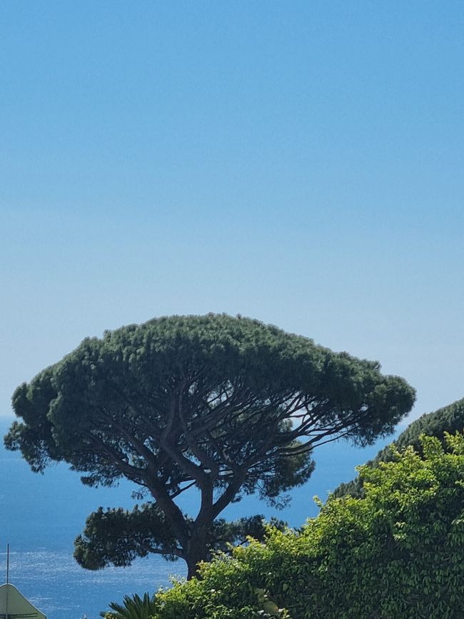 Italien im Frühling
Teil 6.2 Ravello