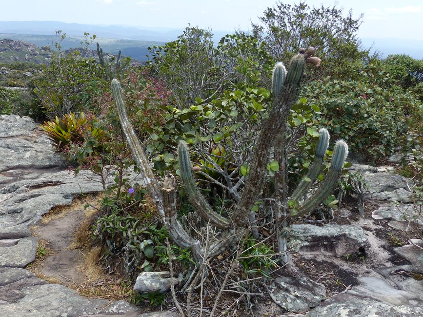 Brasil, Parque Nacional Diamantes Parte II