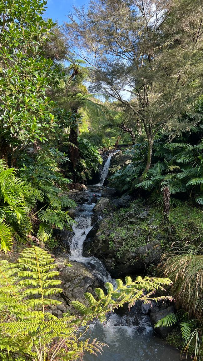 Whangarei Quarry Garden