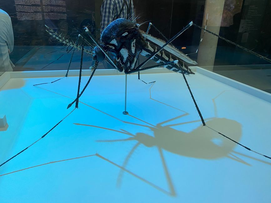 und fürs menschliche Auge vergrößert