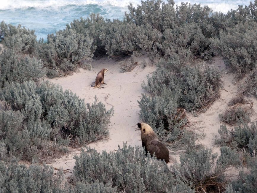 Kangaroo Island