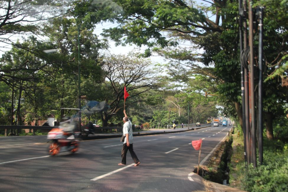 Tag 7 : Malang, thé et un volcan