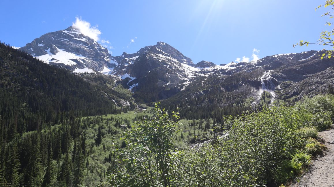 Week 60 - Rocky Mountains and Wildlife