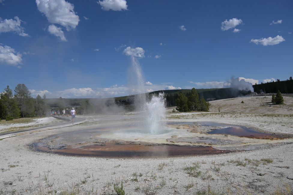 Bassin supérieur des geysers - Geyser Sawmill