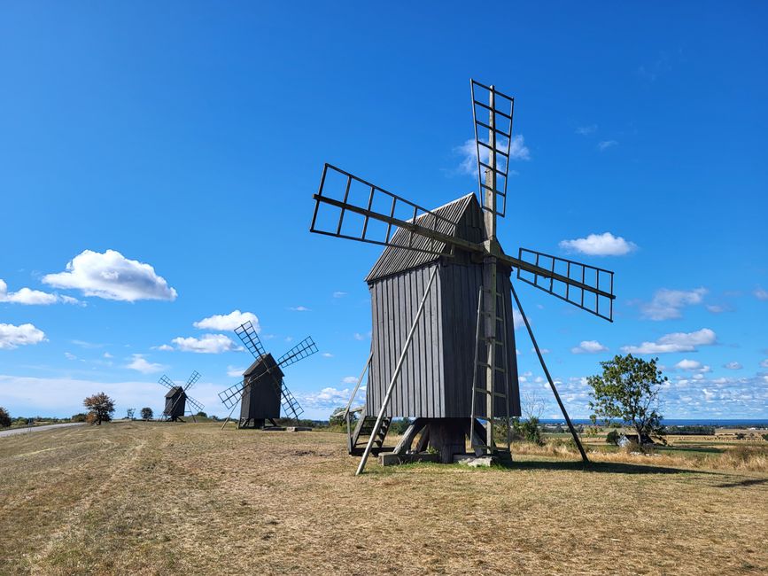 Windmühlen an der Straße 