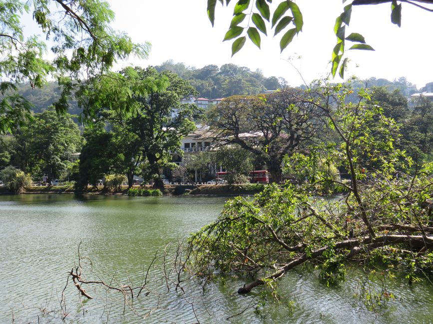 Sri Lanka - Kandy