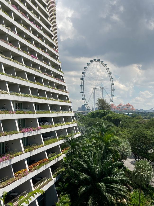 Singapur - Marina Bay Sands - Gardens by the Bay