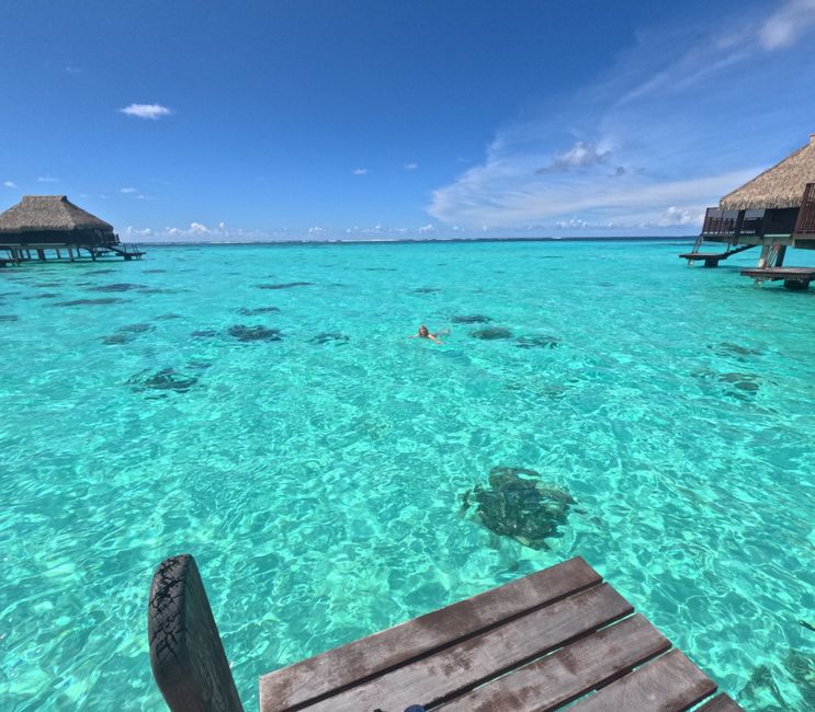 49 Days 22.2.25 Moorea