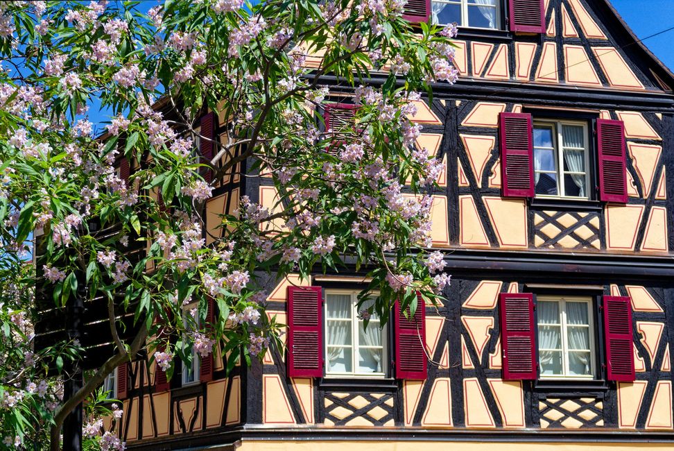 Da Neuf-Brisach a Colmar