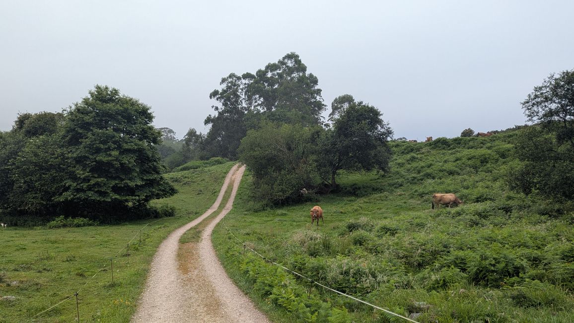 12. Etappe Camino del Norte von Pendueles nach Barro