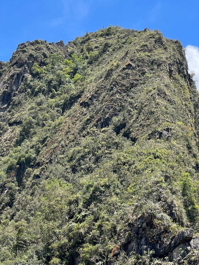 👷‍♂️标签 31-1 (3.11.) 马丘比丘，登上惠纳比丘山