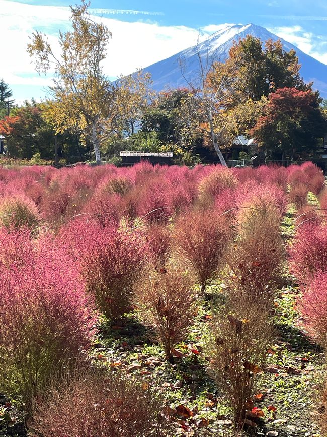 7. Kapitel: Noch ein Tag am Fuji-san, jede Sekunde ist anders