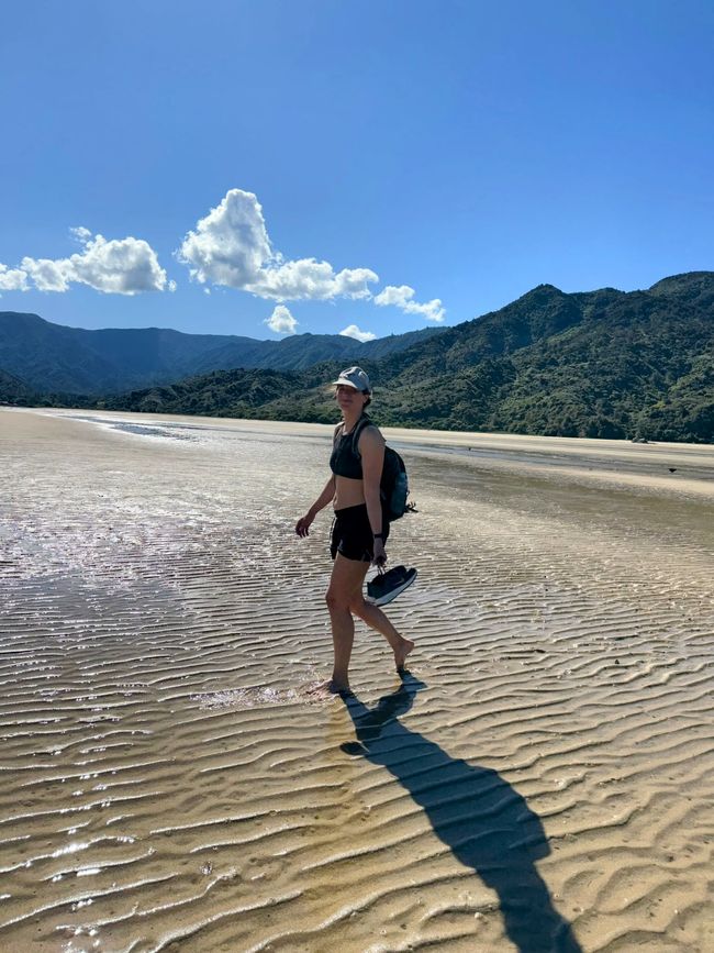 Auf ein paar Worte in Abel 
Tasman