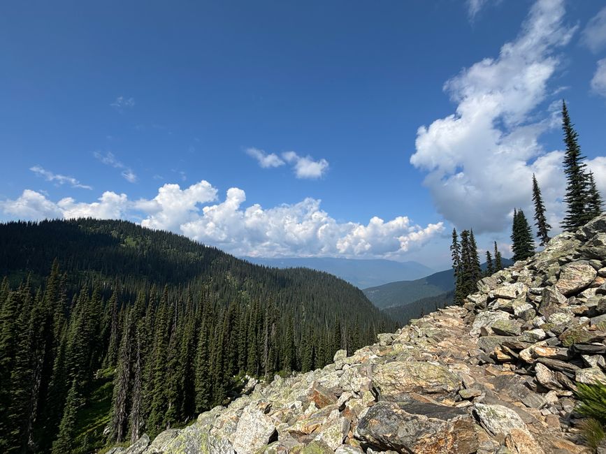 Tag 8 - Mount Revelstoke Nationalpark