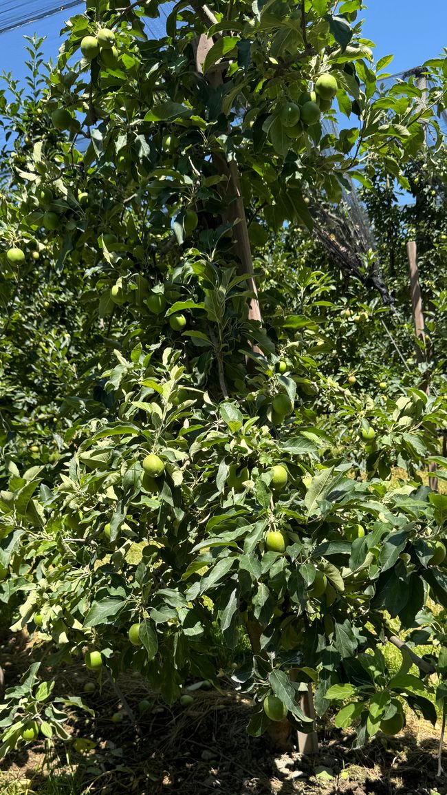 Radtour von Tscherms nach St. Leonhard in Passeier