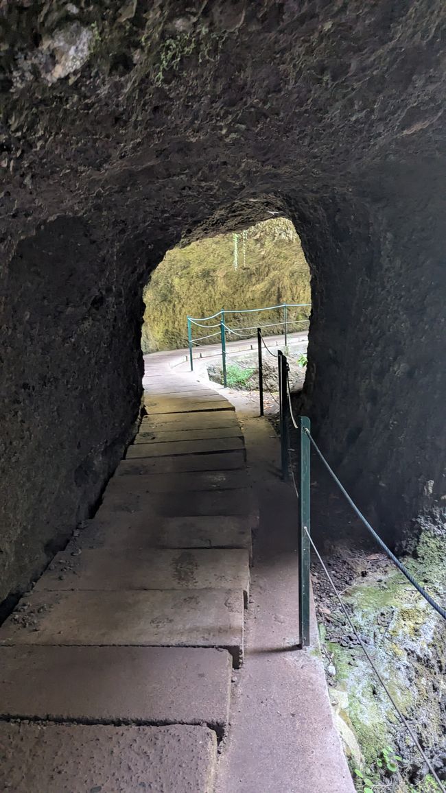 Tag 8: Wandern entlang der Levada do Moinho & Levada Nova