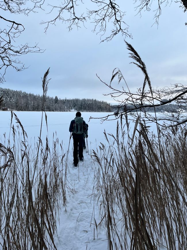 The finnish way