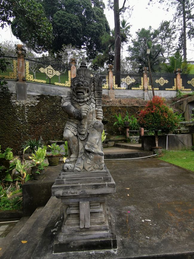 Excursión de un día a Ubud y Tegallalang