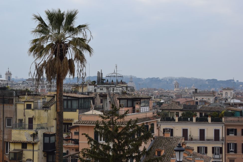Viaggio in città a Roma