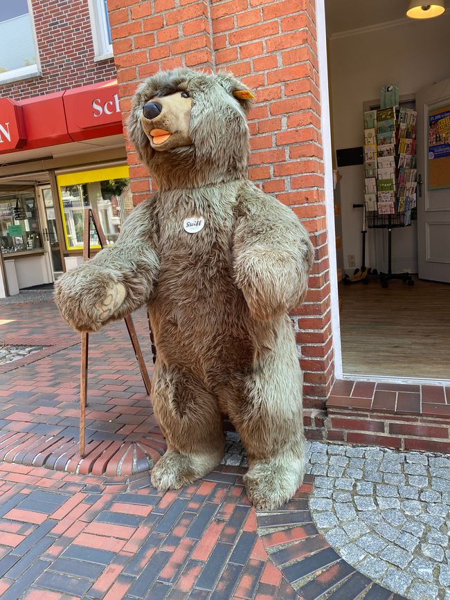 Noch gibt es ihn: der Trommelbär