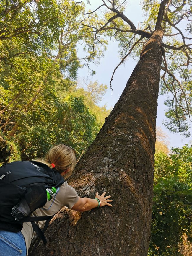 Ayutthaya, Kanchanaburi, Erawan NP