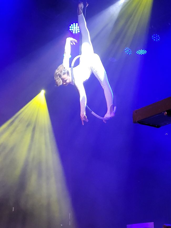 Tag 85 von 175: Kreuzfahrt rund um die Welt  - Routenänderung  wegen der Wetterbedingungen  - Kreuzen im Dusky Sound und Breaksea Sound/Neuseeland