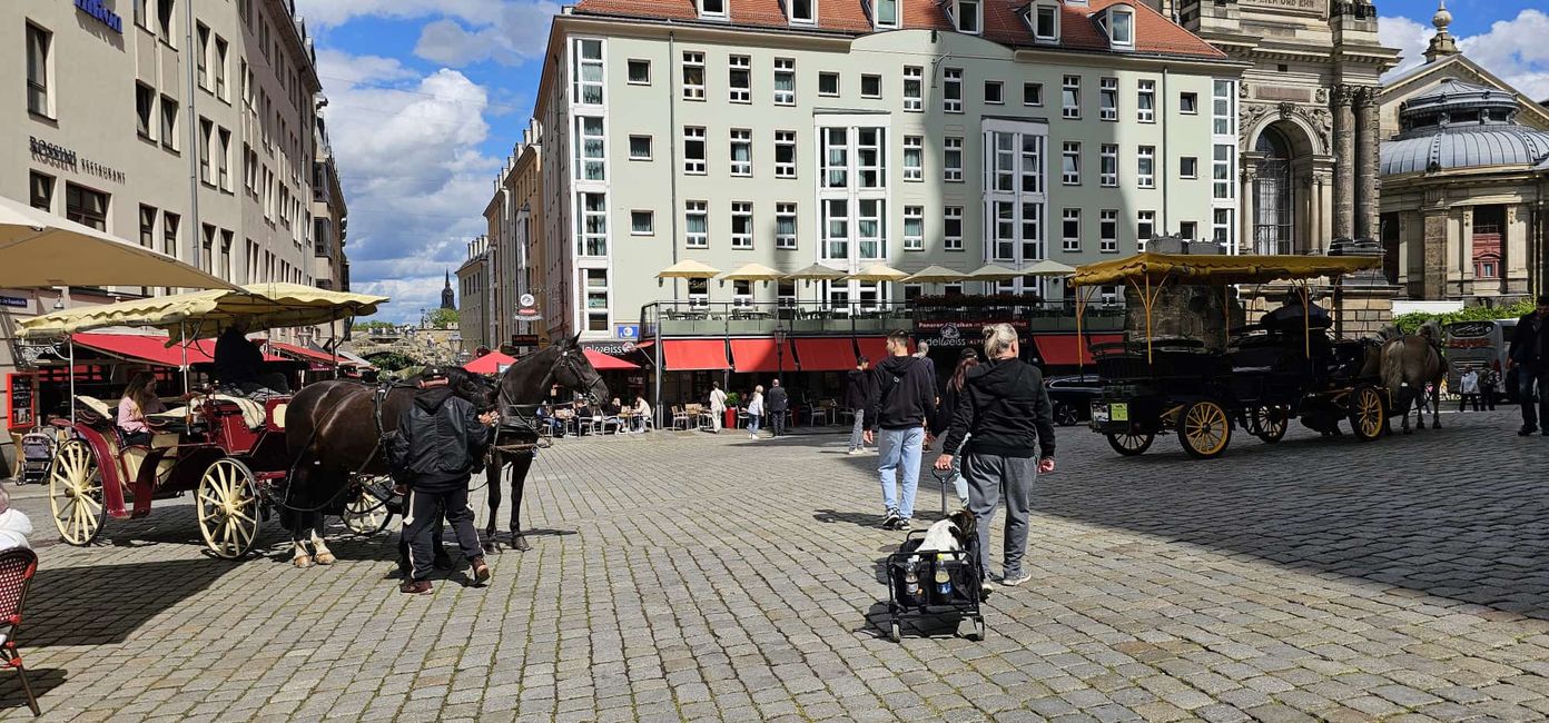 Dresden - wieder unbeschreiblich schön!!