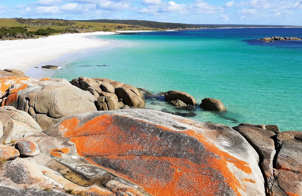 - Singapur & Tasmania 2019 -