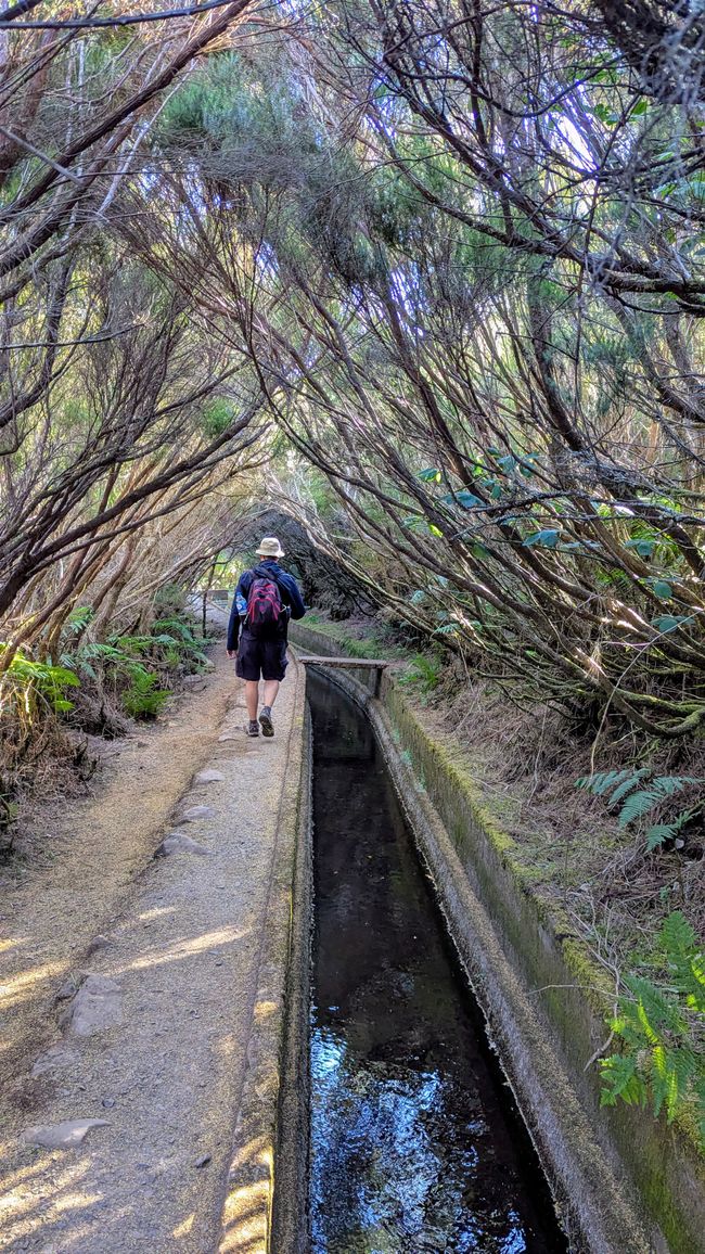 Tag 11: Levada do Alecrim und ein Open Air Festival