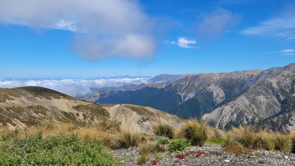 29.Januar-27.Februar 2025 Neuseeland
3.Februar