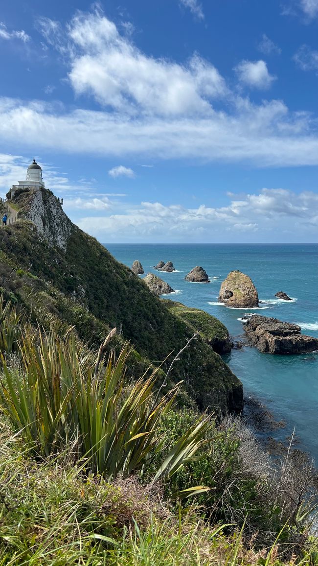 Faro Nugget Point