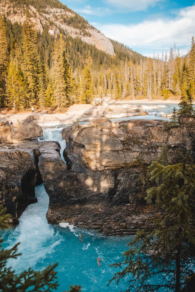 Lake Louise