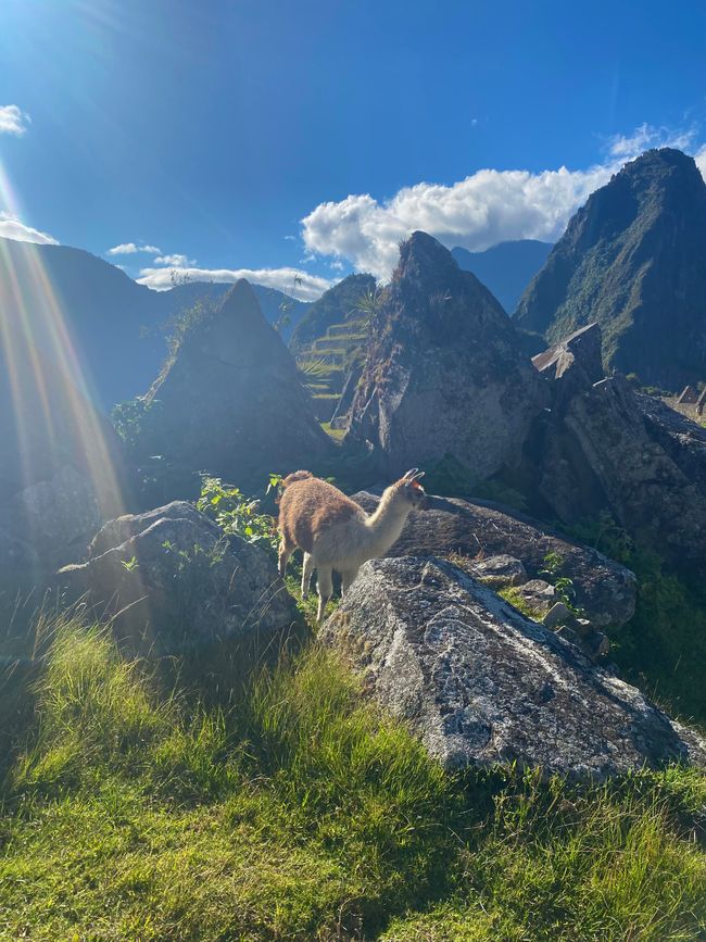Pérou 🇵🇪