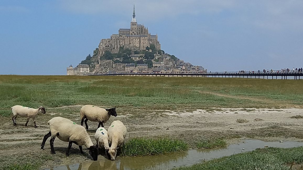 Cinquieme jour