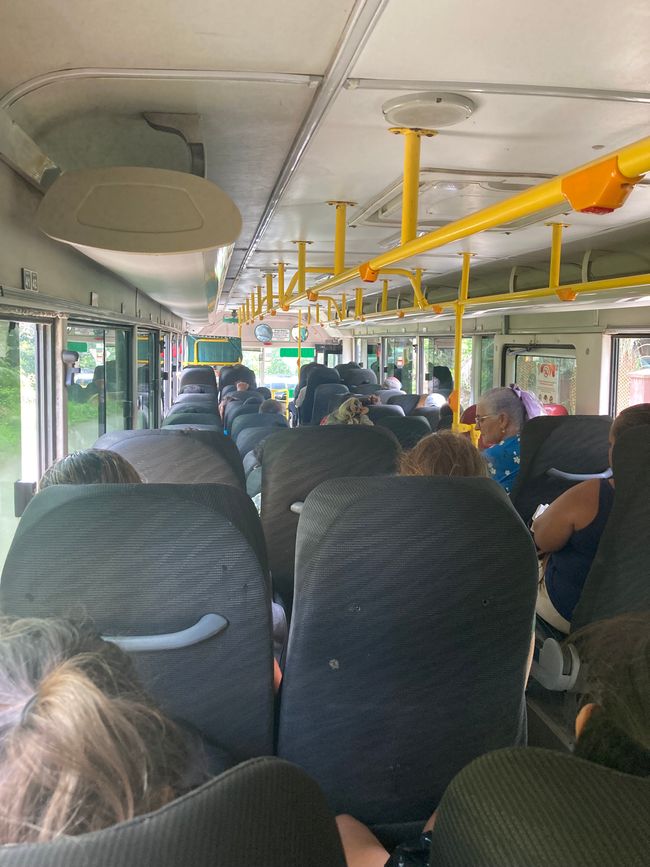 Viaggio in Autobus 