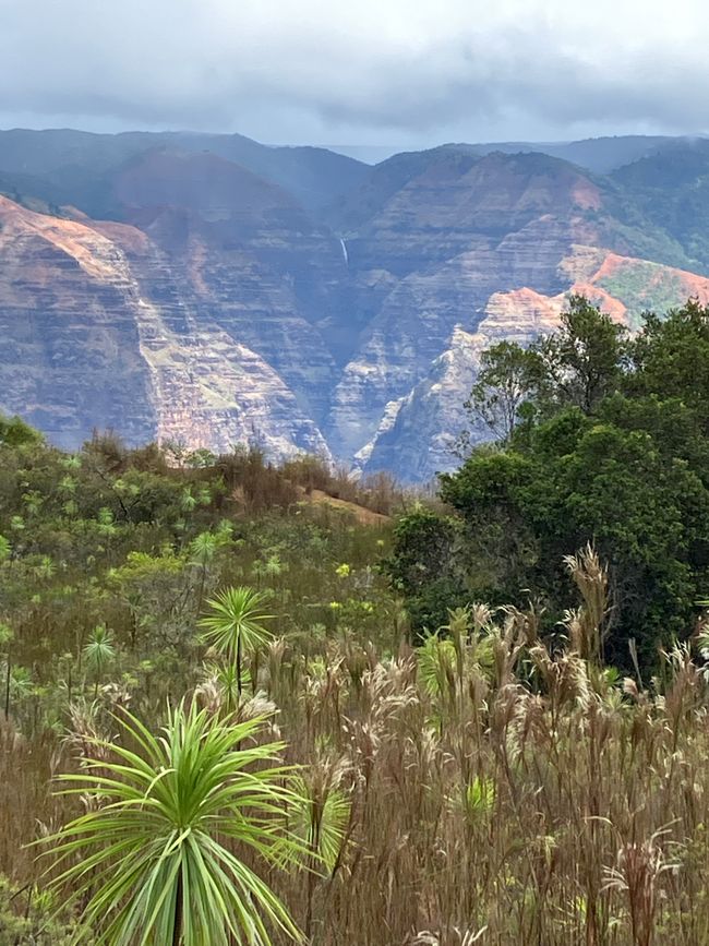 Waimea falls in the back 