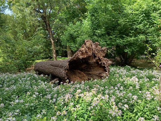 Valencia Stadt und Botanischer Garten