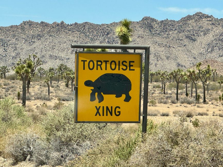 Joshua Tree National Park – Arch Rock & Skull Rock