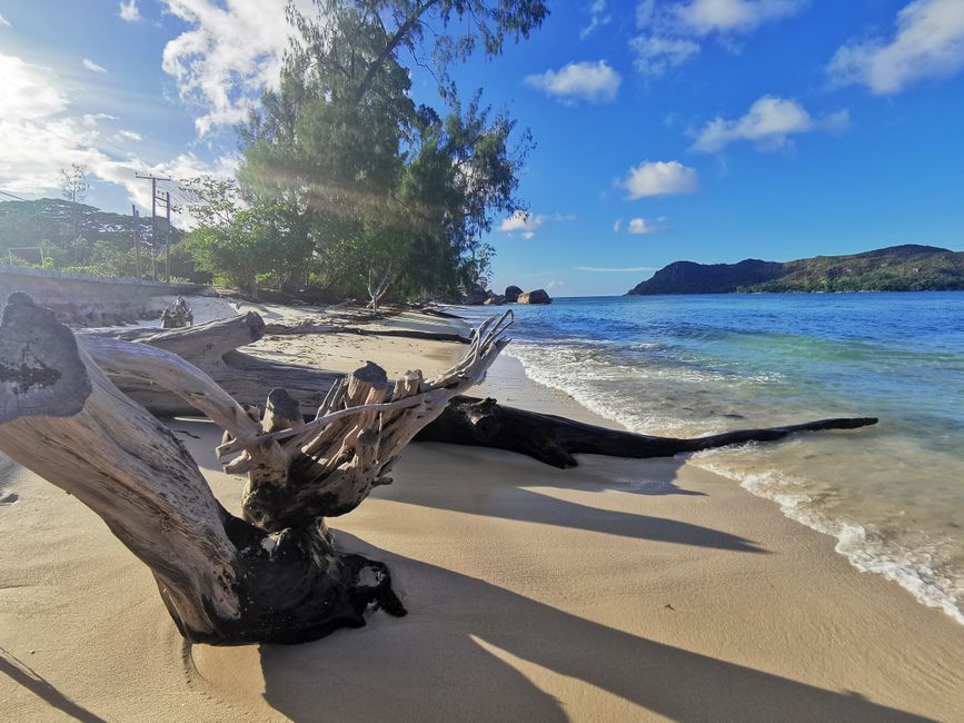 🇸🇨 Seychelles